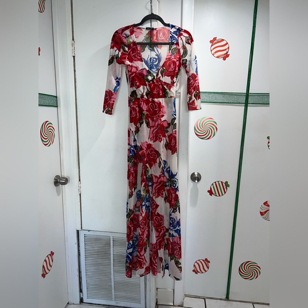 Sheer rose printed dress